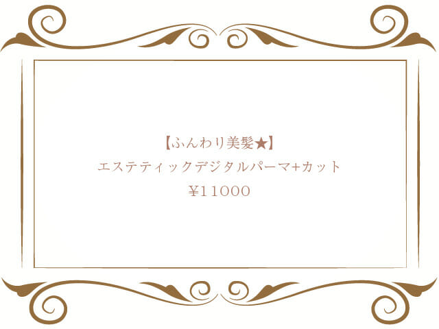 エステティックデジタルパーマ+カット+ダブルトリートメント¥11000